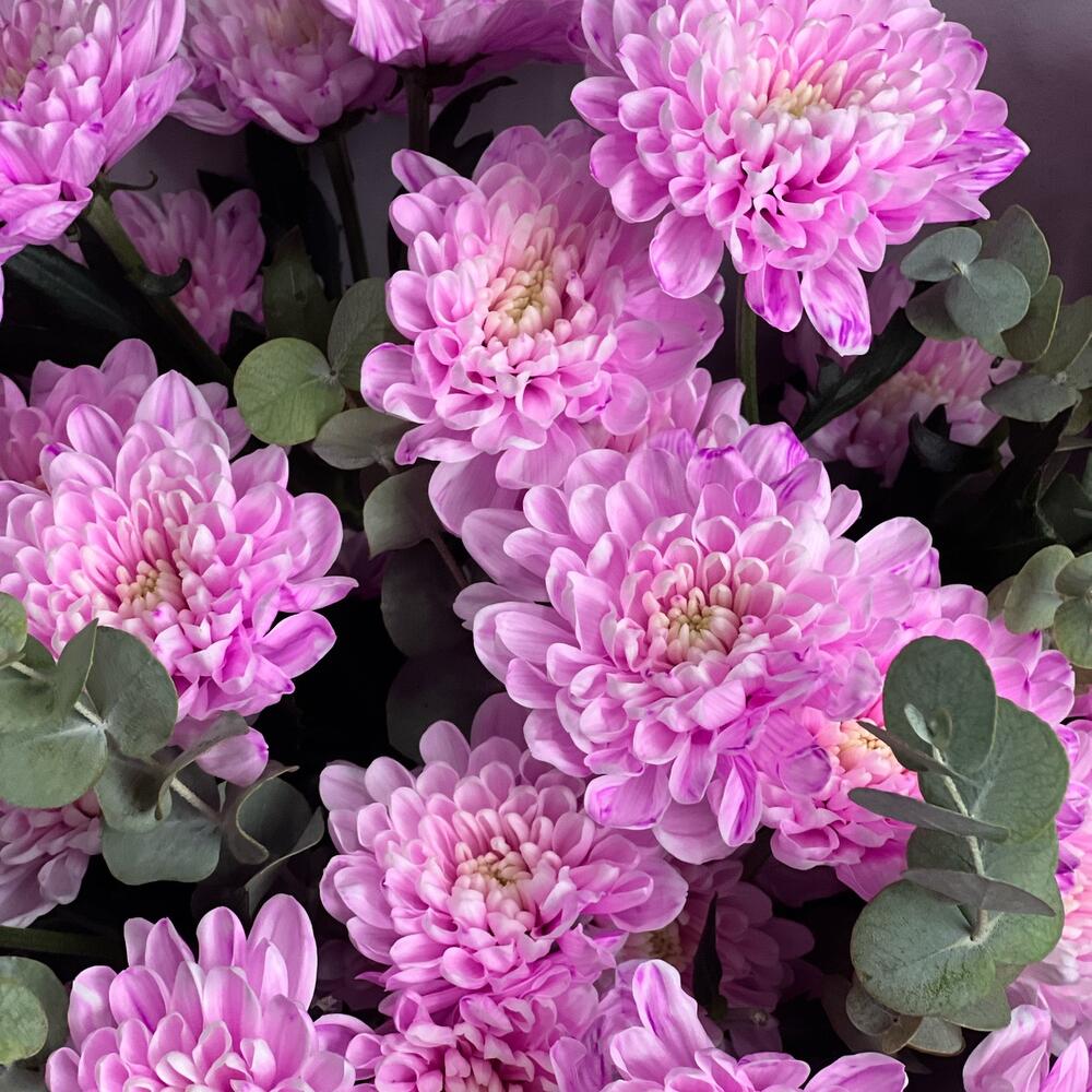 https://content2.flowwow-images.com/data/flowers/1000x1000/20/1673502850_65011520.jpg